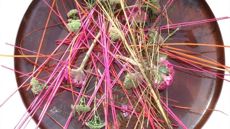 Gør din have flot og praktisk med højbede