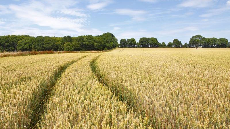 Depotrum ? book billig opbevaring online