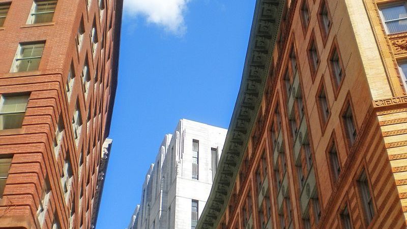 Professionel algebehandling ? effektivt algestop