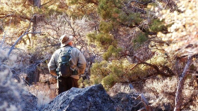 Lær hvor det er godt rejse hen for få naturen og mærke