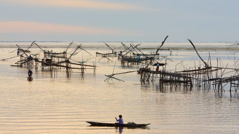 Kom ud af busken og få pulsen op