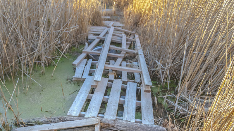 Pallerne du burde opgradere