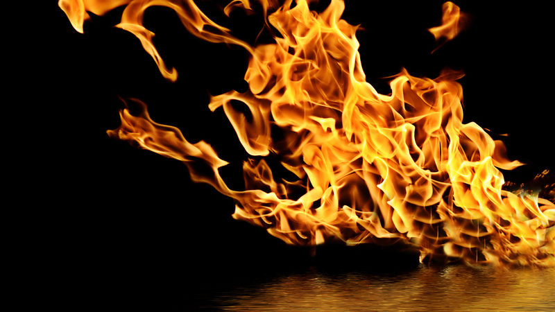 Derfor er skovbrande et stort problem