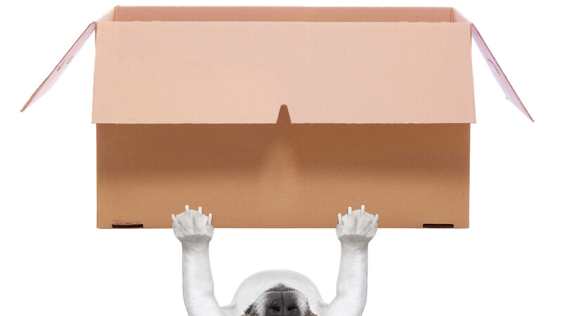 Fordele ved at hyre professionelle flyttefirmaer